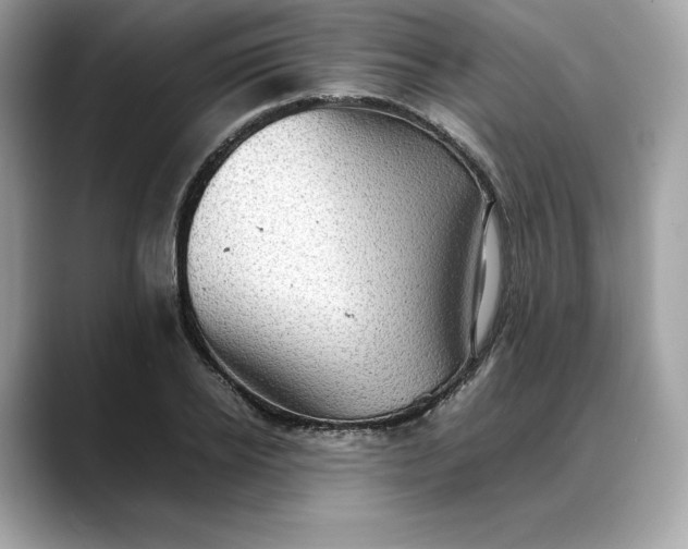 X0000088360934200706051021