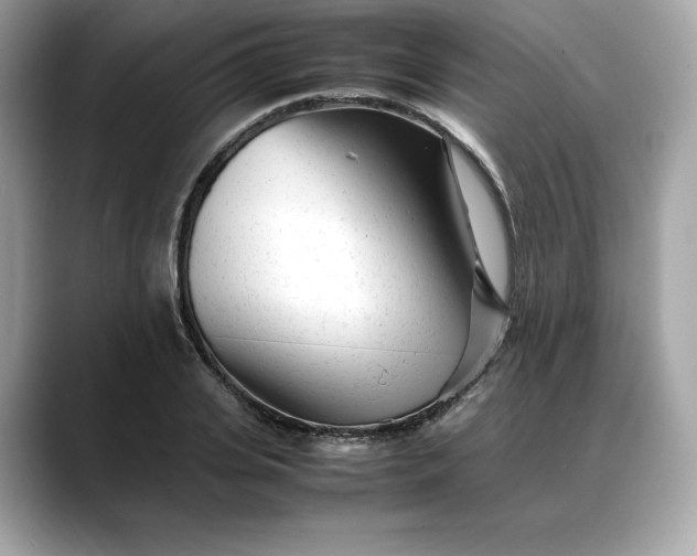 X0000088360935200706051021