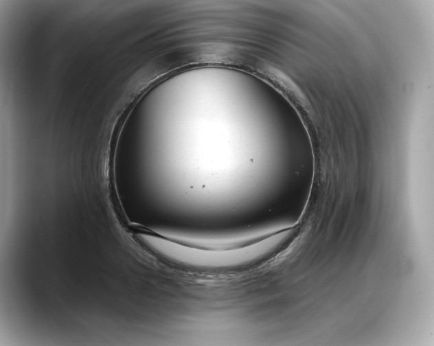 X0000088360938200706051021