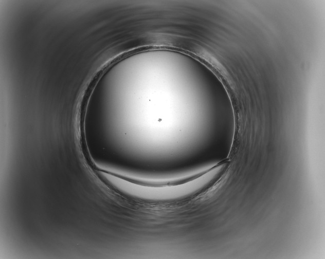 X0000088360939200706051021