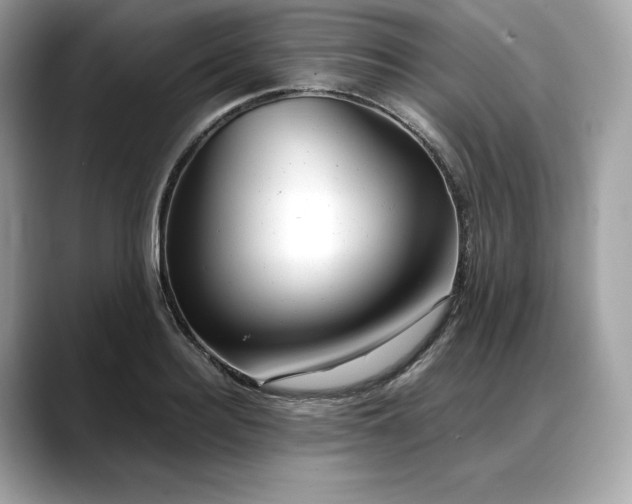 X0000088360940200706051021