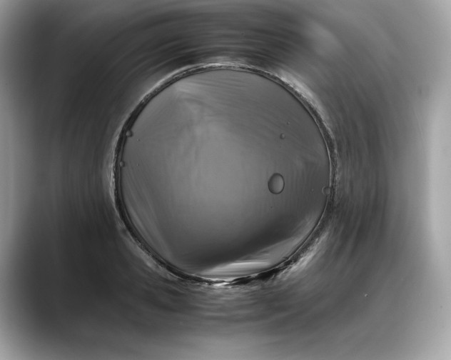 X0000088360941200706051021