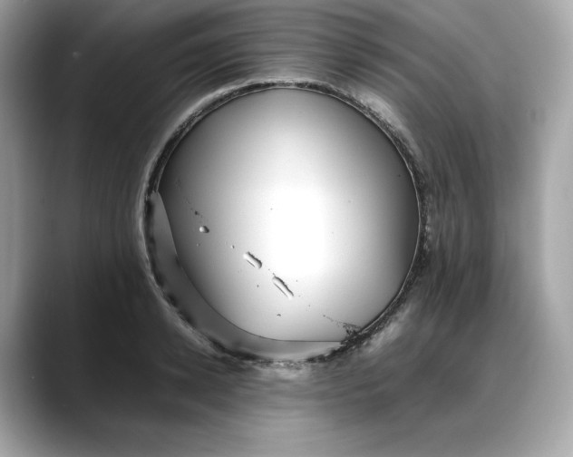 X0000088360942200706051021