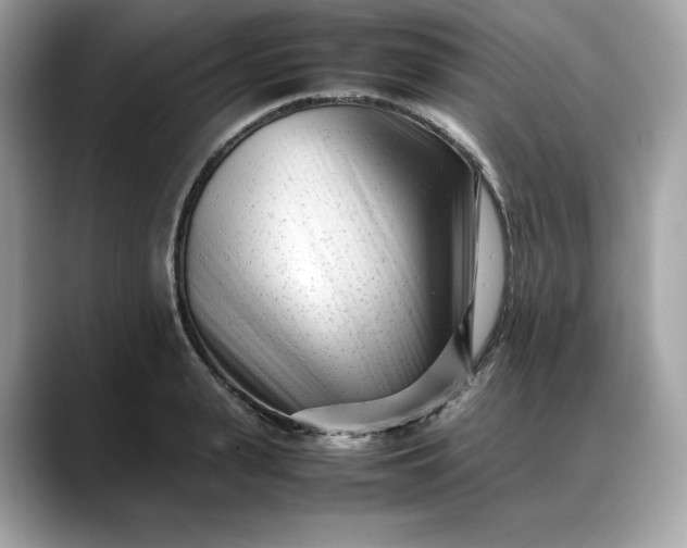 X0000088360943200706051021