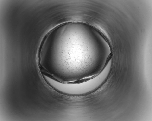 X0000088360944200706051021