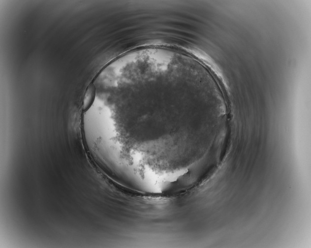 X0000088360945200706051021