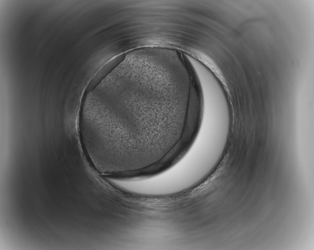 X0000088360946200706051021