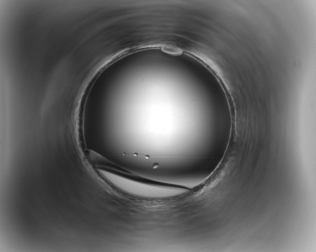 X0000088360949200706051021