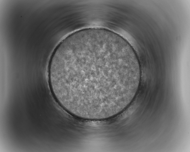 X0000088360950200706051021