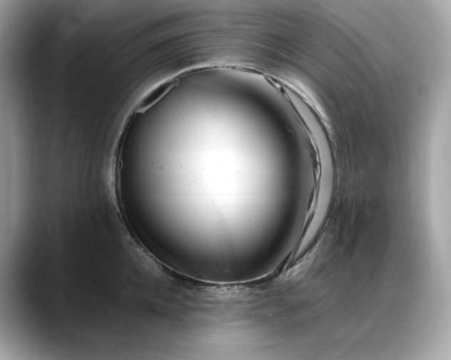 X0000088360952200706051021