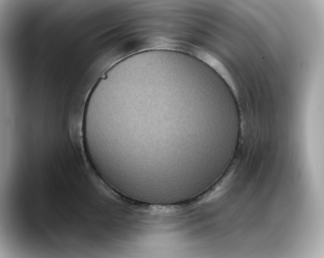 X0000088360954200706051021