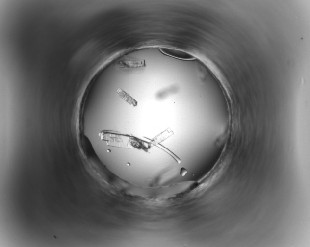 X0000088360957200706051021