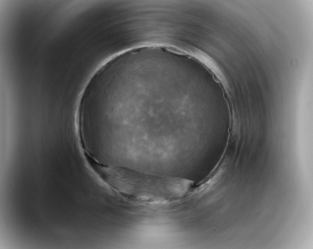 X0000088360958200706051021