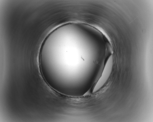 X0000088360959200706051021