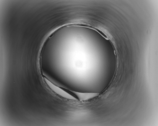 X0000088360960200706051021