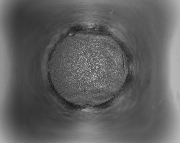 X0000088360961200706051020