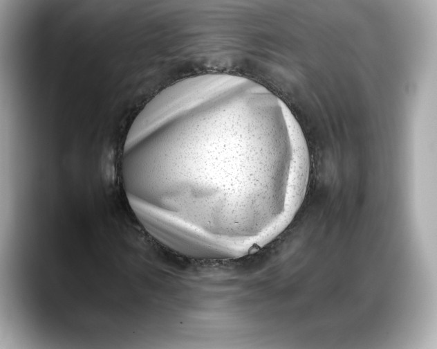 X0000088360962200706051020