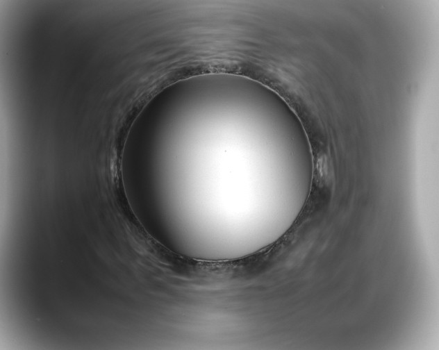 X0000088360963200706051020