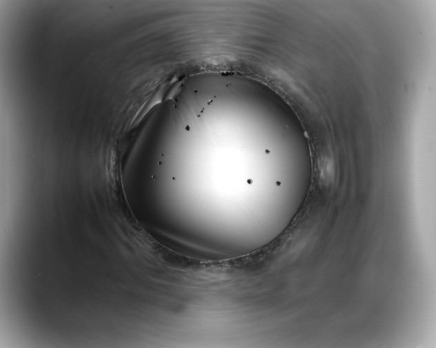 X0000088360964200706051020