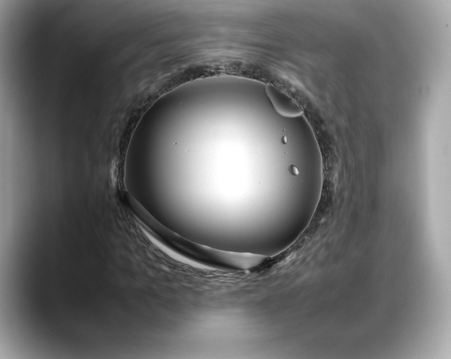 X0000088360965200706051020