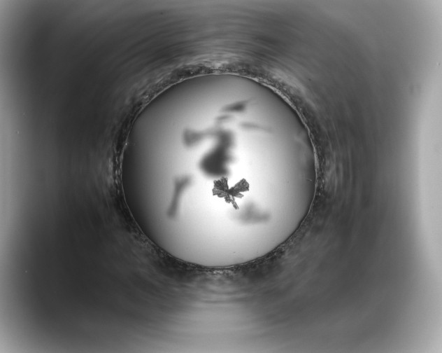 X0000088360966200706051020