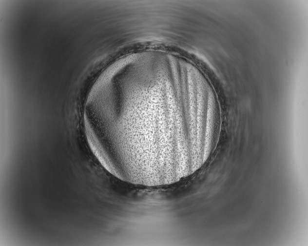 X0000088360967200706051020