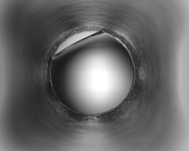 X0000088360968200706051020