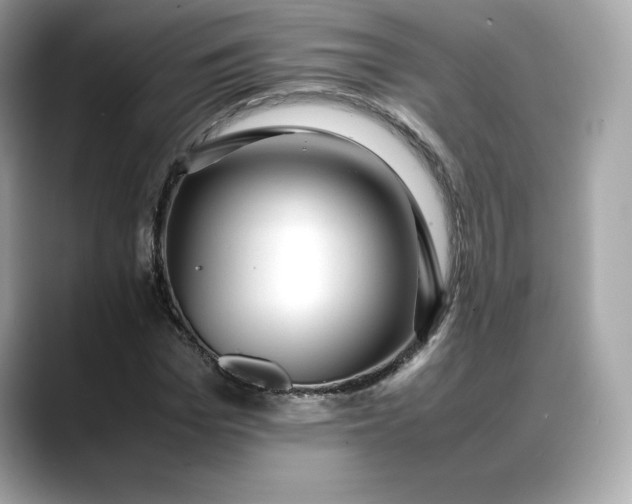 X0000088360969200706051020