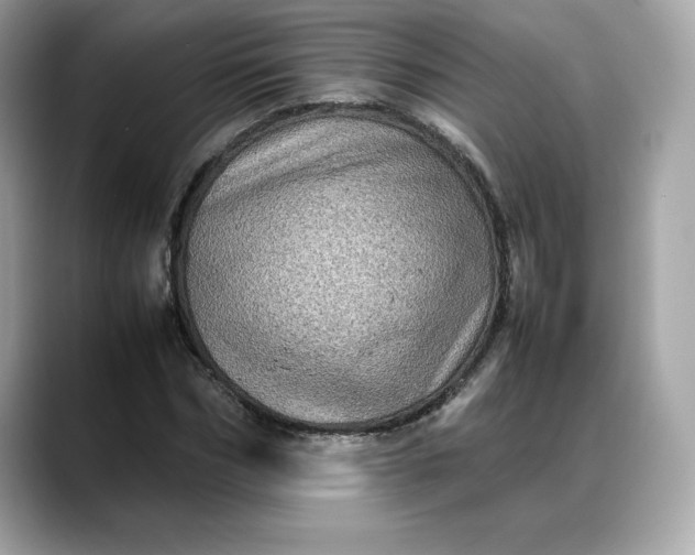 X0000088360970200706051020