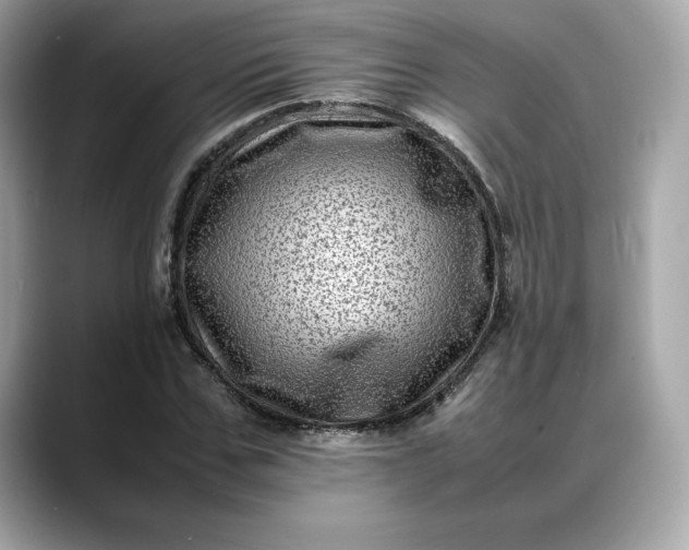 X0000088360971200706051020