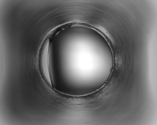 X0000088360972200706051020