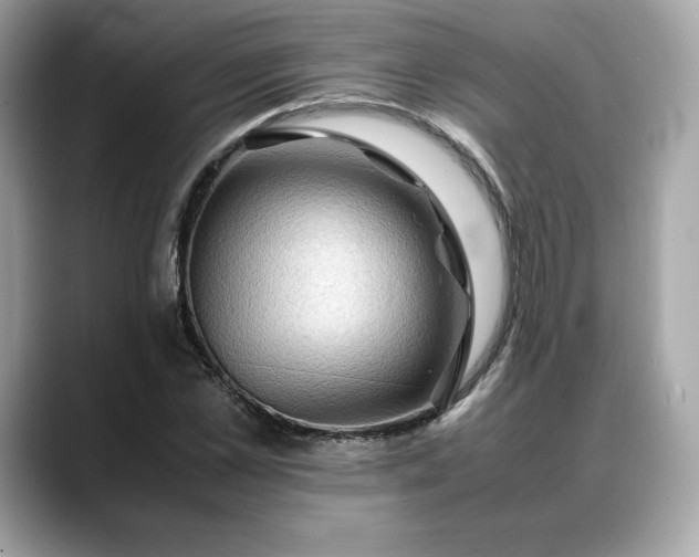 X0000088360973200706051020