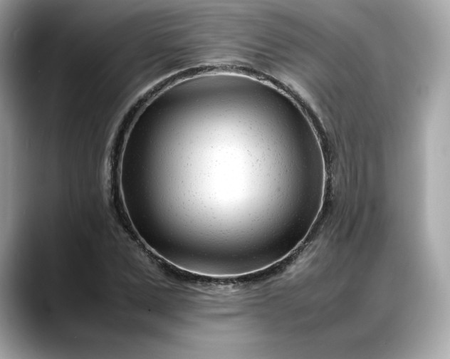 X0000088360975200706051020