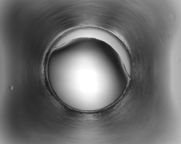 X0000088360976200706051020