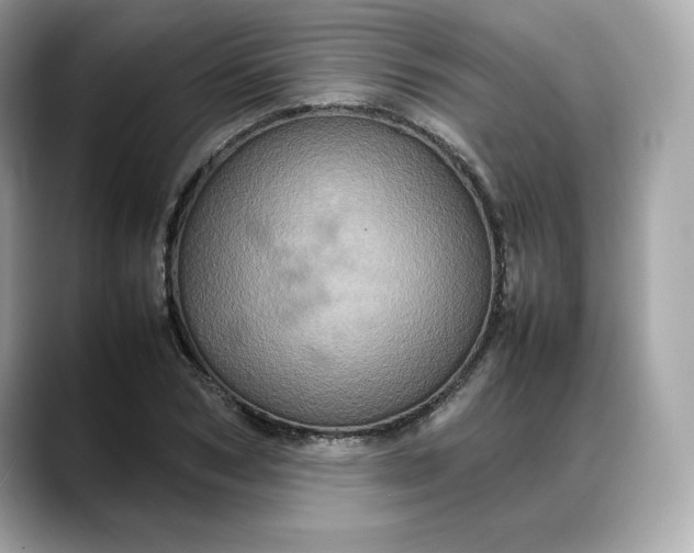 X0000088360978200706051020