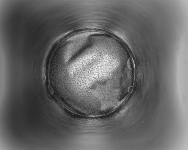 X0000088360979200706051020