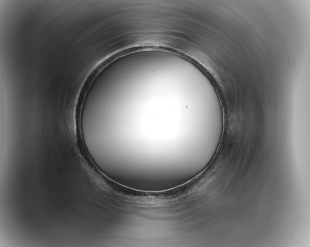 X0000088360980200706051020