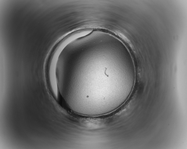 X0000088360981200706051020