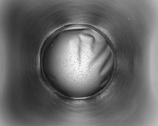 X0000088360982200706051020