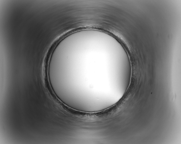 X0000088360983200706051020