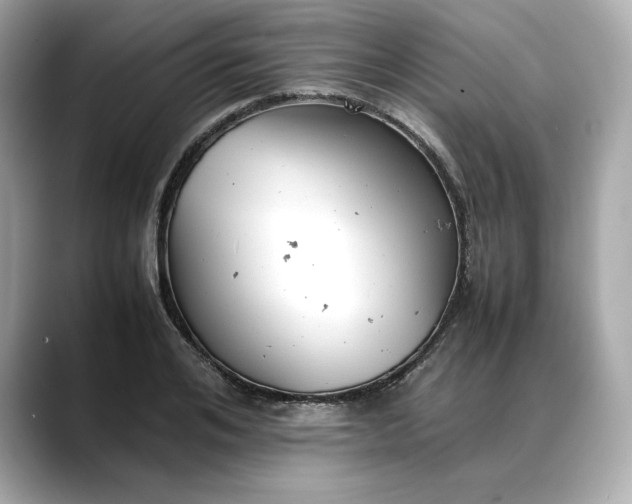 X0000088360984200706051020