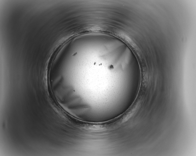 X0000088360986200706051020