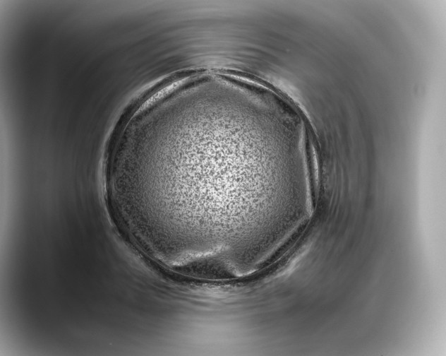 X0000088360987200706051020