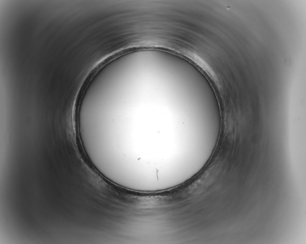 X0000088360988200706051020