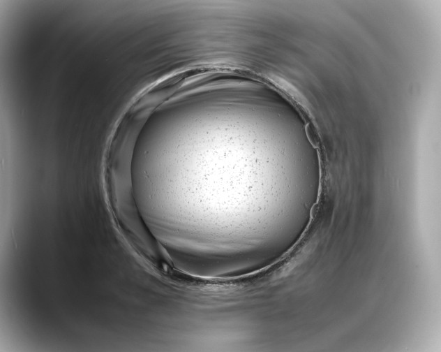 X0000088360989200706051020