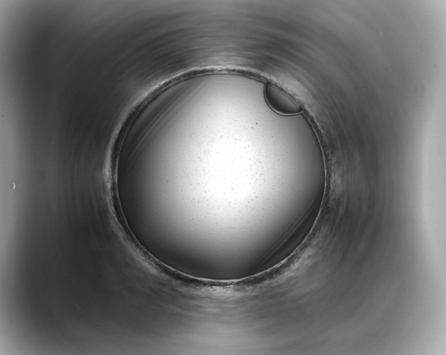 X0000088360990200706051020