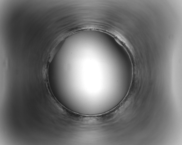 X0000088360993200706051020