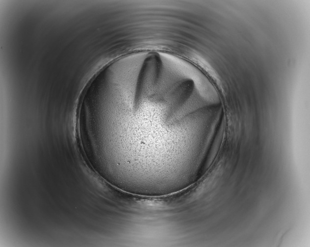 X0000088360994200706051020