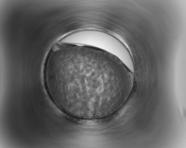 X0000088360995200706051020