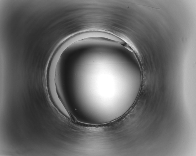 X0000088360996200706051020